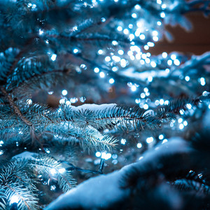 Yula_Music — Winter Tale
