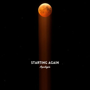Starting Again by Aquilegia