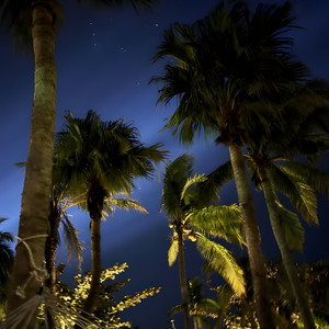 Tropical Remix by definitive