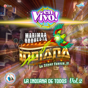 El Retrato de Mi Madre - En Vivo by Marimba Orquesta Indiana