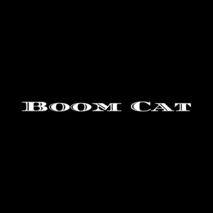 Boom Cat by Tayroa, Dj Okan Doğan