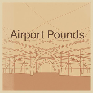 Airport Pounds by Veda Hille