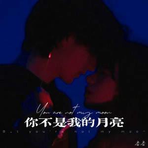 你不是我的月亮