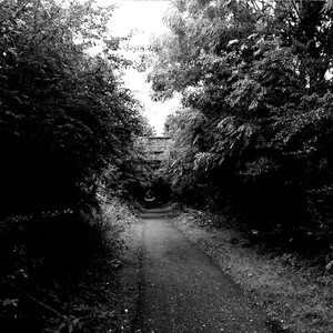 Ben Dring - Echolocation
