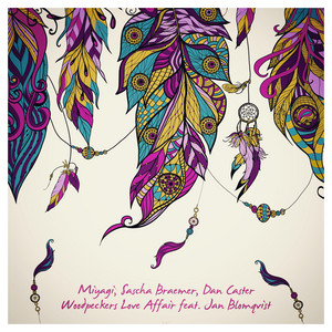 Woodpeckers Love Affair cover art
