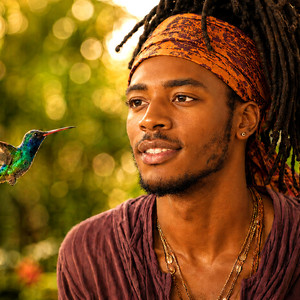Doctor Bird, Yuh Sign by Zion Solano