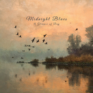 Hushed Fields by Midnight Blues