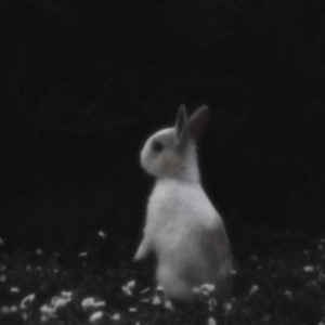 Run Rabbit (Slowed + Reverb) by purelyyours