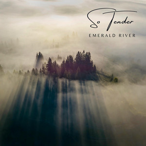 This Velvet Touch by Emerald River