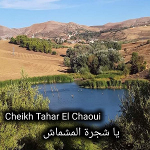 Cheikh Tahar El Chaoui - يا شجرة المشماش