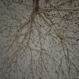 Within Your Body by Ren V