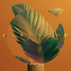 Hibiscus by Navagio