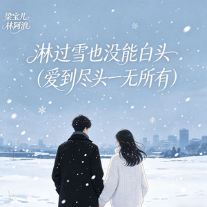 淋过雪也没能白头 (爱到尽头一无所有) by 梁宝儿, 林阿浪
