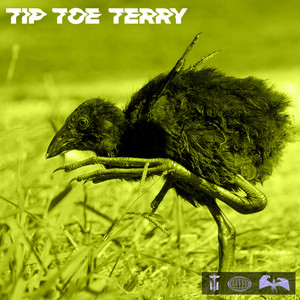 Tip Toe Terry by Thriftworks