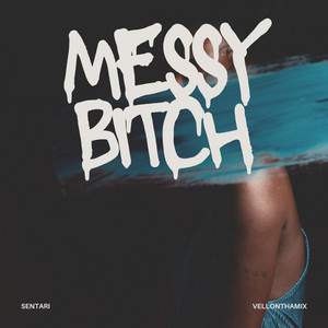 Messy Bitch - Radio Edit