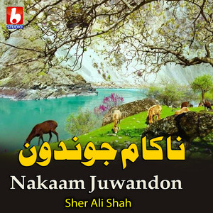 Sher Ali Shah - Nakaam Juwandon