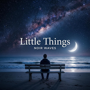 Little Things by Noir Waves