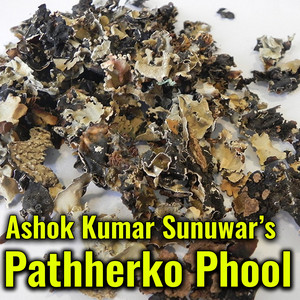 Deepak Limbu - Khareko Pani