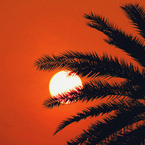 Hot Summer by Loopey