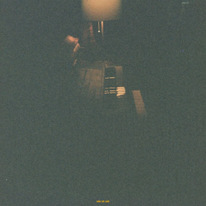 Who We Love by Peter Fenn