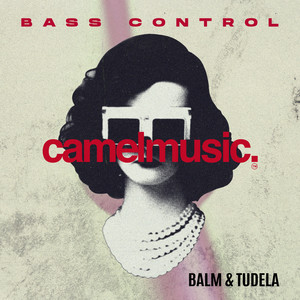 Bass Control by BALM, TUDELA