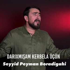 Seyyid Peyman Boradigahi - Darıxmışam Kerbela Üçün