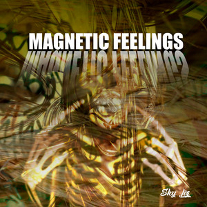 Magnetic Feelings by Sky Liz