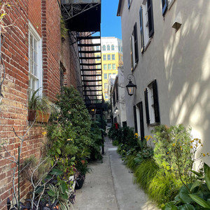 Chloe & Frankie - The Greatest