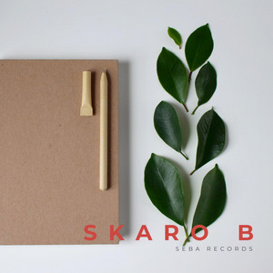 Noches by Skaro B