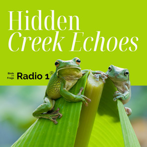 Hidden Creek Echoes