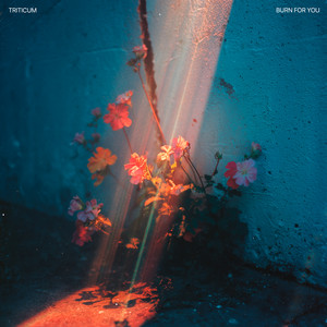 Burn for You by TRITICUM