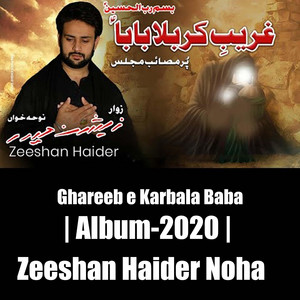 Zeeshan Haider Official - Ghareeb E Karbala Baba (As)