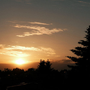 morning focus by oakbear, nomar.wav