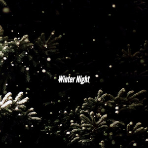 Winter Night album