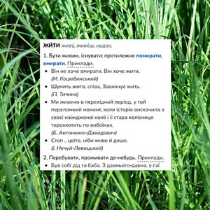 Жити