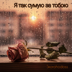 Skorohodoss — Я так сумую за тобою