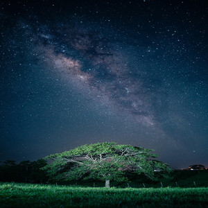moon by Baseto bpm