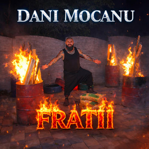 Dani Mocanu - Fratii