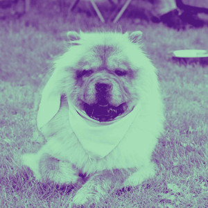 Music for Classic Hounds - Fabulous Jazz Quintet album