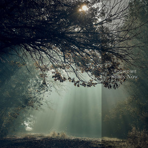 Softly Now by Richome