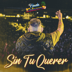 Portada de Sin Tu Querer