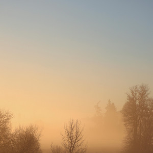 Slow Mornings. by still mytn