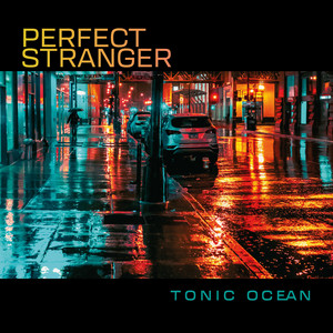 Perfect Stranger by Tonic Ocean