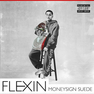 MoneySign $uede — Flexin (2026)