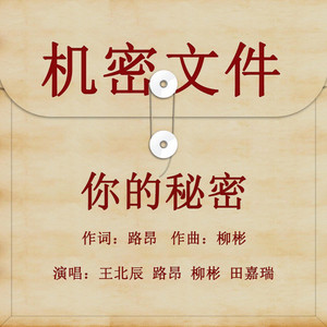 你的祕密 by 路昂, Keyshawn Binean, 田嘉瑞, 王北辰