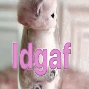 idgaf