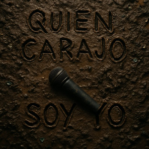 Quien Carajo Soy Yo