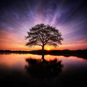 Timeless Presence by Lisa Addios, Ashna Lite