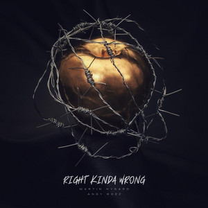 Right Kinda Wrong by Andy Rozz, Martin Hygard