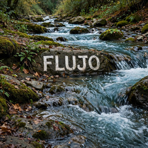 FLUJO by sonhydj